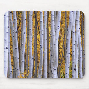 Mousepad EUA, Colorado, Montanhas Rochosas. Cena íntima