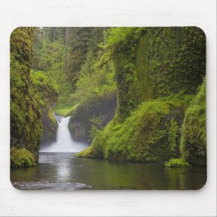 Mousepad EUA, Eagle Creek, Columbia Gorge, Oregon. 3