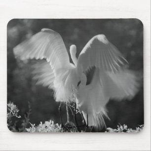 Mousepad EUA, Flórida, Garça-branca-grande (Ardea alba) inf