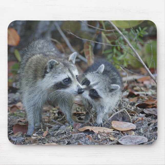 Mousepad EUA, Flórida, Sanibel, Ding Querido Nacional (Frente)