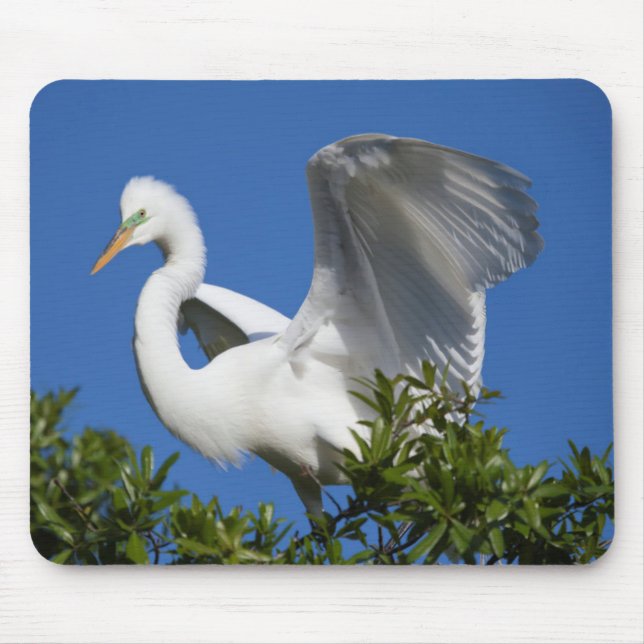 Mousepad EUA, Flórida, St. Augustine, Garça (Frente)