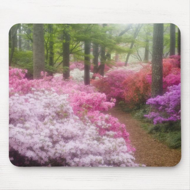 Mousepad EUA; Geórgia; Pine Mountain. Azaléias em (Frente)