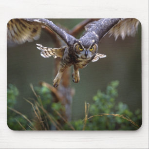 Mousepad EUA, Geórgia, Pine Mountain, Callaway Gardens.