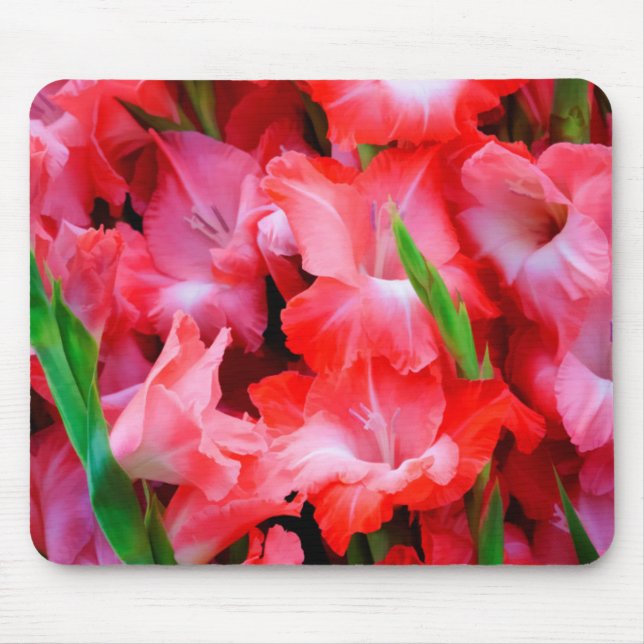 Mousepad EUA, Geórgia, Savannah, Buquê de Gladiolus (Frente)
