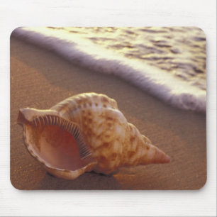 Mousepad EUA, Havaí, Maui, Kihei, Luz da noite sobre