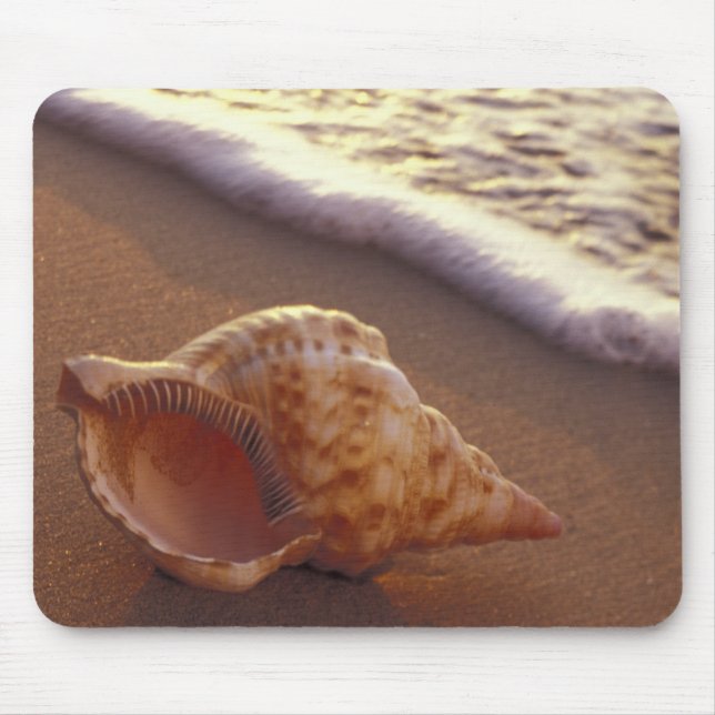 Mousepad EUA, Havaí, Maui, Kihei, Luz da noite sobre (Frente)