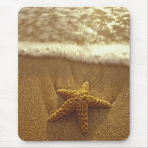 Mousepad EUA, Havaí, Maui, Maui, Kihei, Estrela-do-mar e