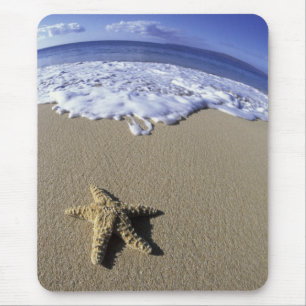 Mousepad EUA, Havaí, Maui, Praia de Makena, Estrela-do-mar