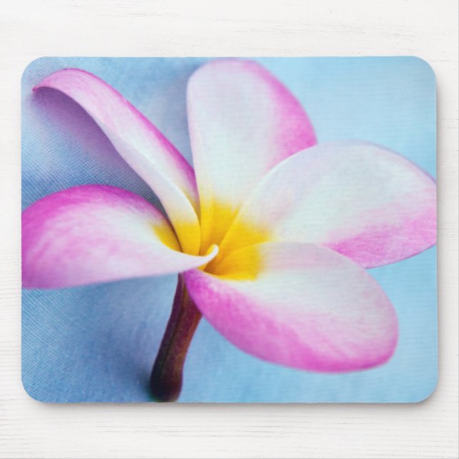 Mousepad EUA, Havaí, Oahu, Plumeria floresce 2 (Frente)