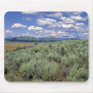 Mousepad EUA, Idaho, Condado de Camas. Artemísia e lupino