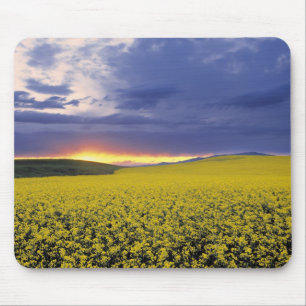 Mousepad EUA, Idaho, Swan Valley. Um pôr do sol ardente irr