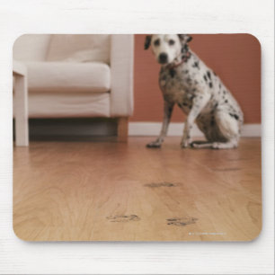 Mousepad EUA, Illinois, Metamora, Fim-acima do assoalho com