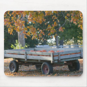 Mousepad EUA, IOWA, Condado de Madison, Winterset: Howell's