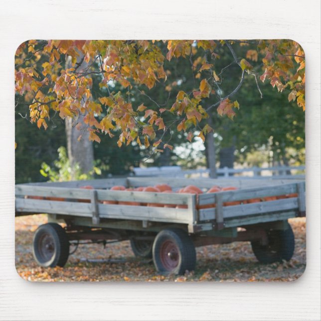 Mousepad EUA, IOWA, Condado de Madison, Winterset: Howell's (Frente)