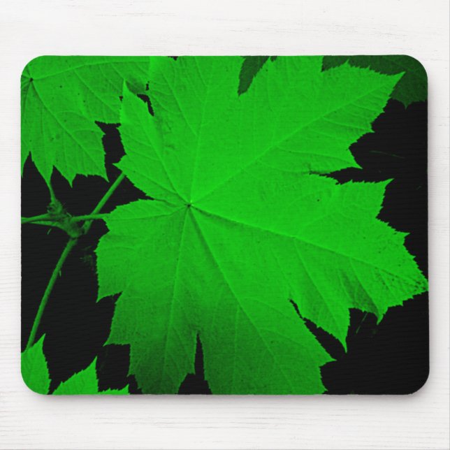 Mousepad EUA, Kansas, Folhas de Carvalho à Luz (Frente)