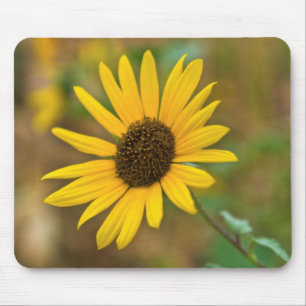 Mousepad EUA, Kansas. Girassol selvagem
