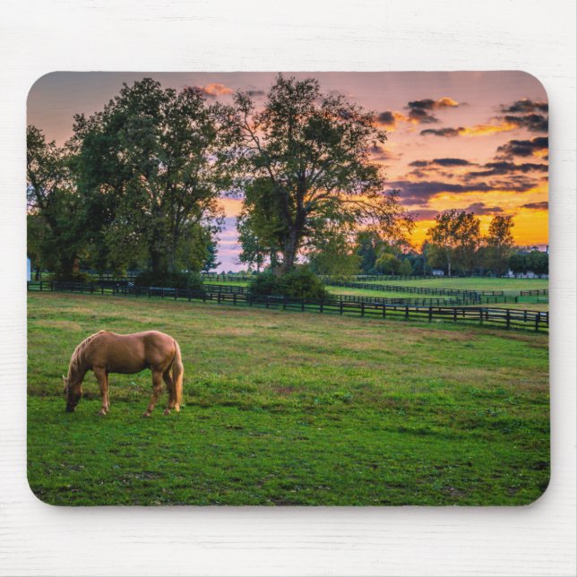 Mousepad EUA, Lexington, Kentucky. Cavalo solitário no pôr  (Frente)