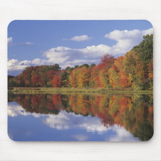 Mousepad EUA, Massachusetts, Acton. Reflexão do outono (Frente)