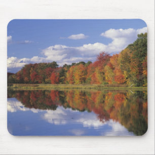 Mousepad EUA, Massachusetts, Acton. Reflexo do outono