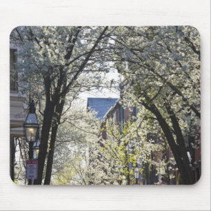 Mousepad EUA, Massachusetts, Boston, Beacon Hill.