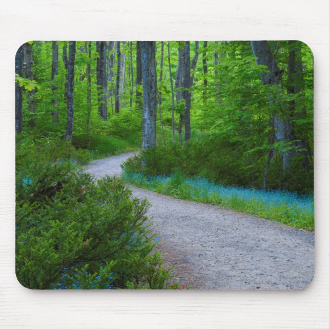Mousepad EUA, Michigan. Caminho Através das Matas (Frente)