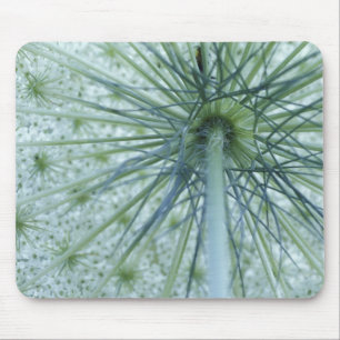 Mousepad EUA, Michigan. Erva-de-santa-maria vista de