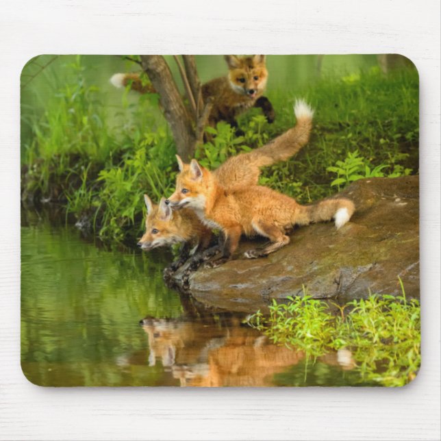 Mousepad EUA, Minnesota, Sandstone, Minnesota Willife (Frente)