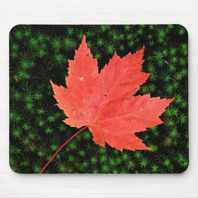Mousepad EUA, Missouri, Floresta Nacional Mark Twain (Frente)