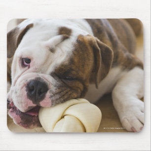 Mousepad EUA, New-jersey, Jersey City, filhote de cachorro