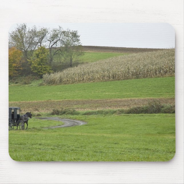 Mousepad EUA, nordeste de Ohio. Bugue Amish em fazenda (Frente)