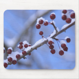 Mousepad EUA, Nova Inglaterra, Massachusetts, Reading, 3