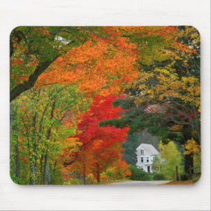 Mousepad EUA, Nova Inglaterra, New Hampshire, Andover