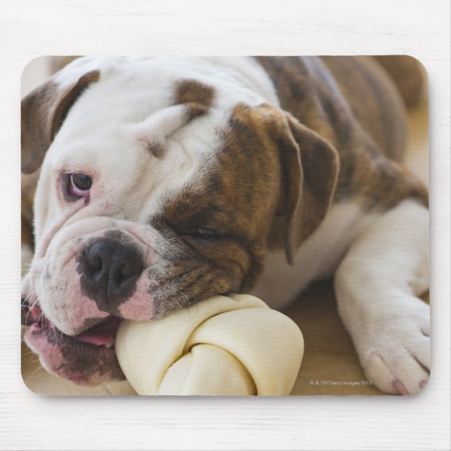 Mousepad EUA, Nova Jersey, cidade de Jersey, cachorrinho 2 (Frente)