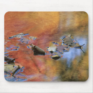 Mousepad EUA, Nova York, Adirondacks, Folhas Caídas em
