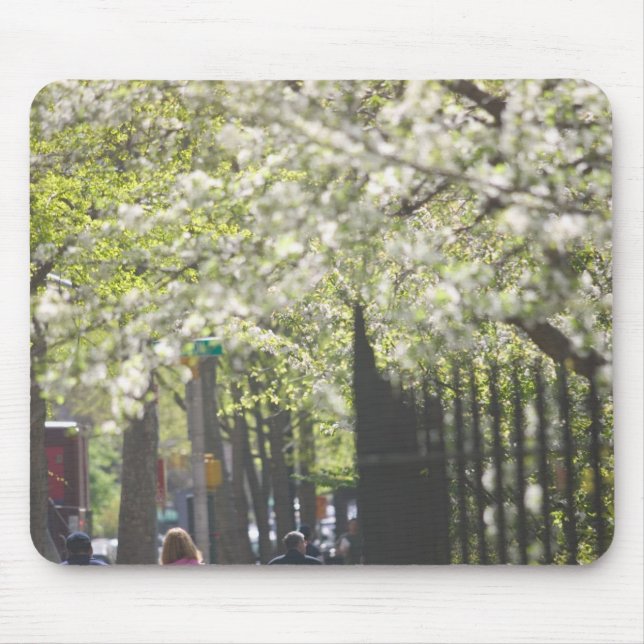 Mousepad EUA, Nova York, Nova Iorque, Manhattan:8 (Frente)