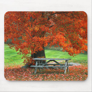 Mousepad EUA, Nova York, West Park. Banco sob bordo