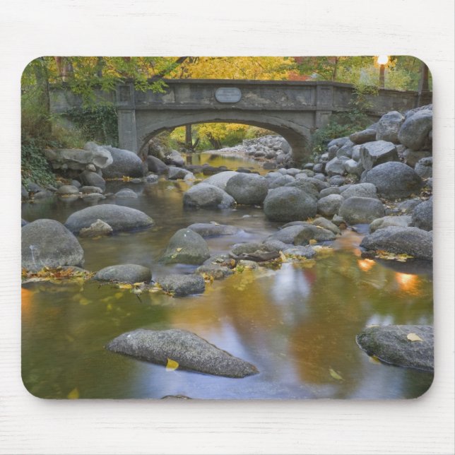 Mousepad EUA, Oregon, Ashland, Lithia Park.Outono (Frente)