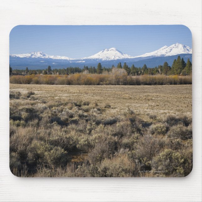 Mousepad EUA, Oregon, campo com cascata coberto de neve (Frente)