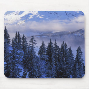 Mousepad EUA, Oregon, Floresta Nacional de Deschutes, Sul