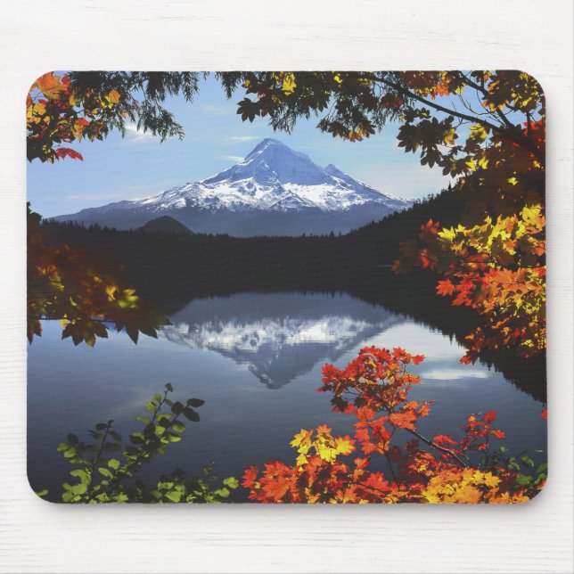 Mousepad EUA, Oregon, Floresta Nacional do Monte Hood. (Frente)