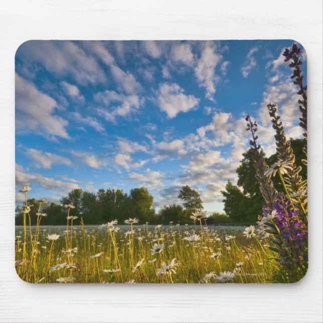 Mousepad EUA, Oregon, o Condado de Marion, prado com (Frente)