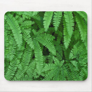 Mousepad EUA, Oregon, Silverton. Avencas