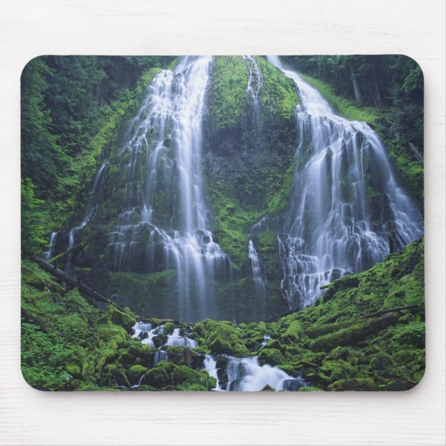 Mousepad EUA, Oregon, Willamette National Forest. Vista de (Frente)