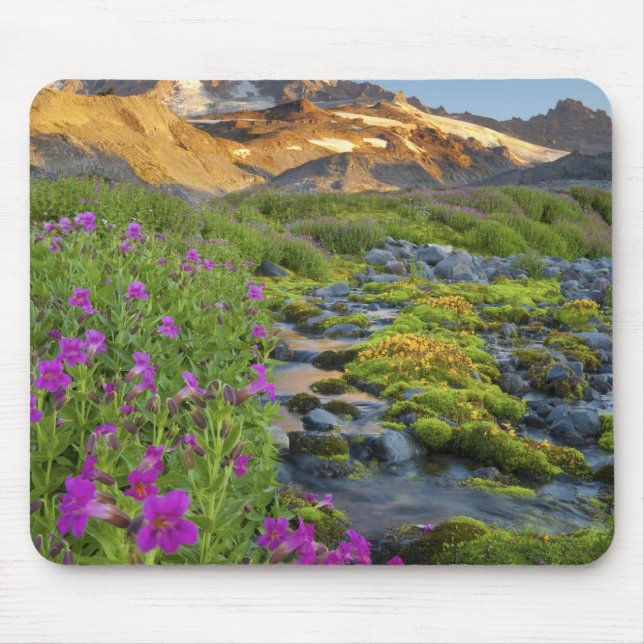 Mousepad EUA, Parque Nacional Mt. Rainier, Washington. (Frente)