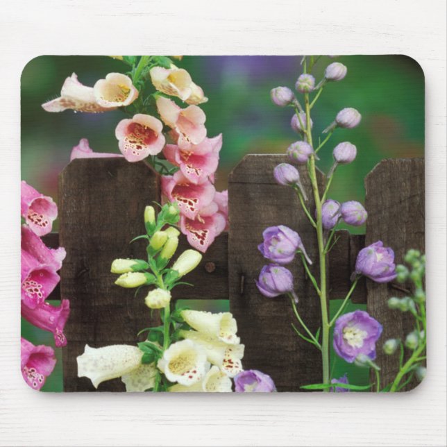 Mousepad EUA, Pensilvânia. Dedaleira e delphinium (Frente)