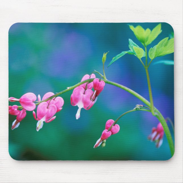 Mousepad EUA, Pensilvânia. Flores coração sangrando (Frente)