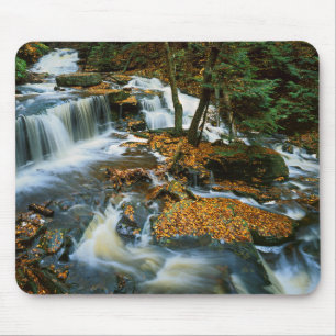 Mousepad EUA, Pensilvânia, Rickets Glen State Park