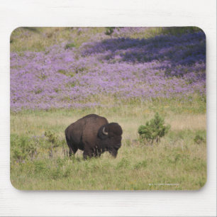 Mousepad EUA, South Dakota, bisonte americano (bisonte do