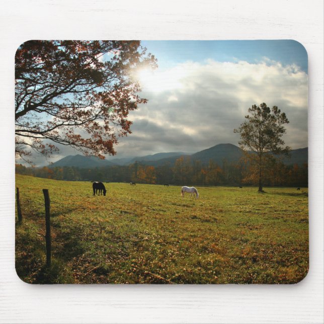 Mousepad EUA, Tennessee. Cavalos no Vale de Cades Cove (Frente)
