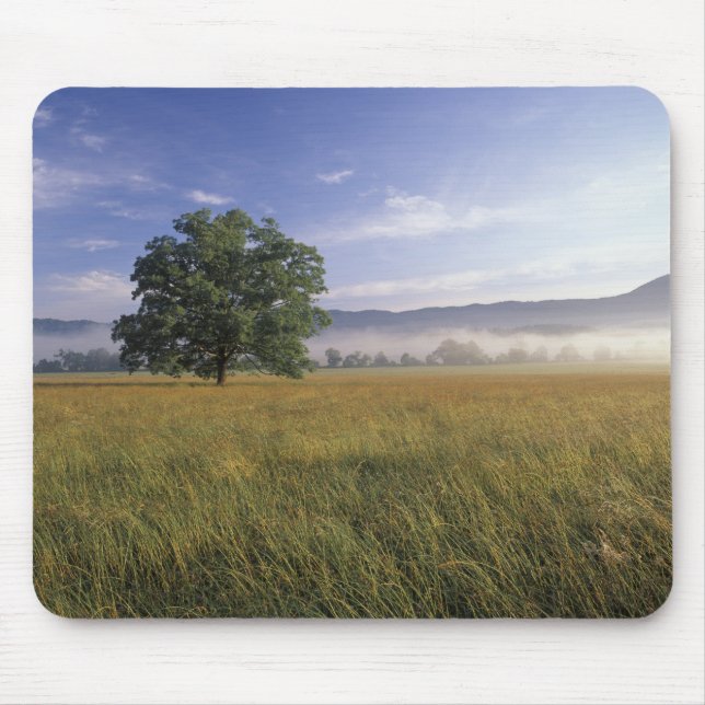 Mousepad EUA, Tennessee. Montagens de Excelente Smokey (Frente)